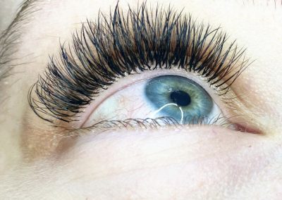 Beverley Lash Bar and Beauty Clinic - Lashes